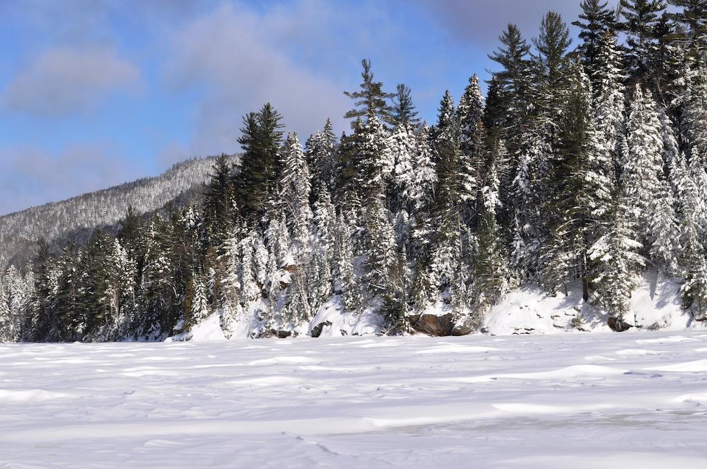 Hotel La Taniere De L'Ours Saint-Donat-de-Montcalm Exteriér fotografie